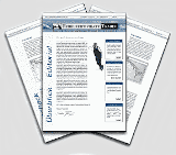Hebelzertifikate-Newsletter